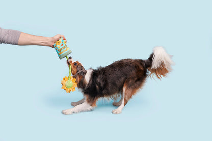 BARK Funflower Seeds Rope Toy