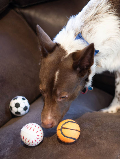 ThoozyPet Tennis Ball Asst Baseball/Basketball/Soccer
