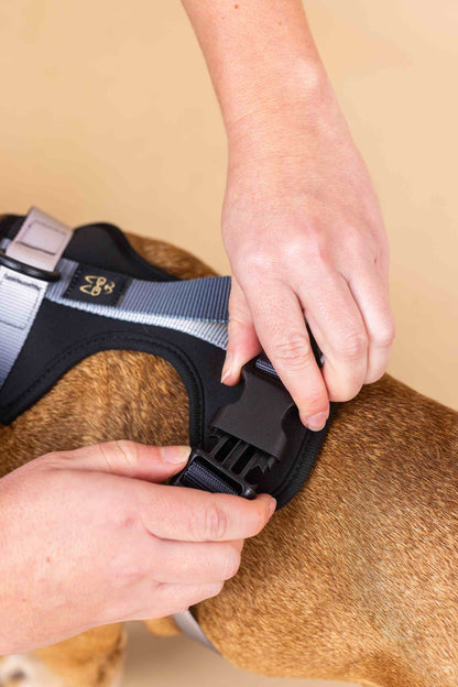 Rowan Dog Harness | Black