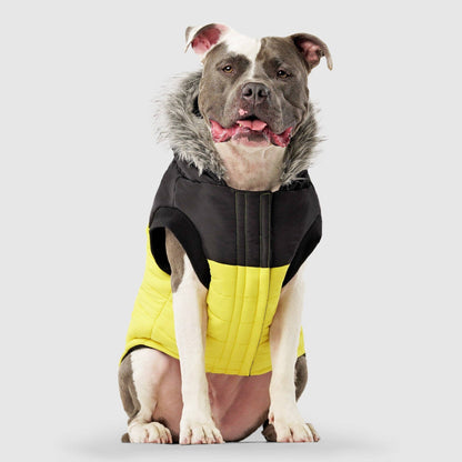 True North Dog Parka