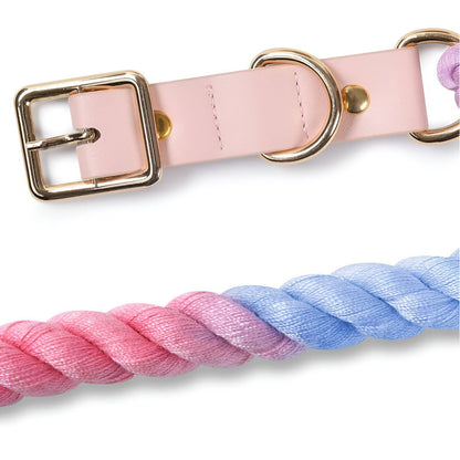 Loofie - Colorful Dog Collar & Leash (not sold as a set)