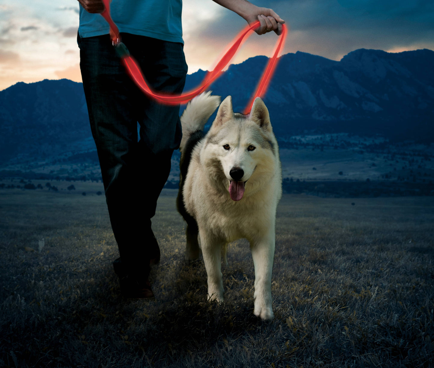 Nite Ize Rechargeable LED Leash Red