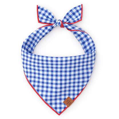 Blue Gingham Dog Bandana