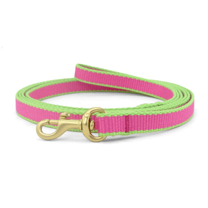 Color Market Small Breed Dog Lead