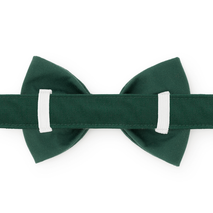 Fall Foliage Bow Tie