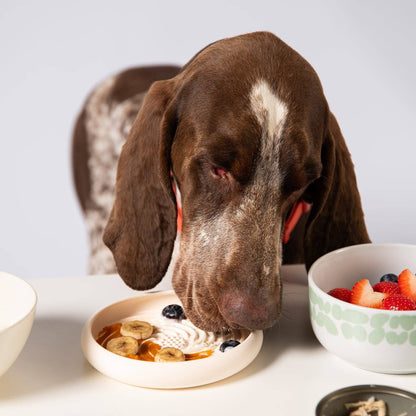Awoo Lick Dish Slow Feeder