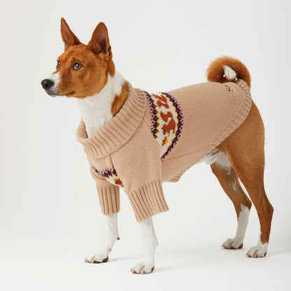 Foggy Dog Squirrel Sweater