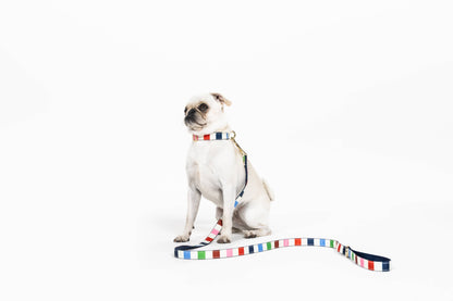 Kate Spade Small Dog Collar, Adventure Stripe