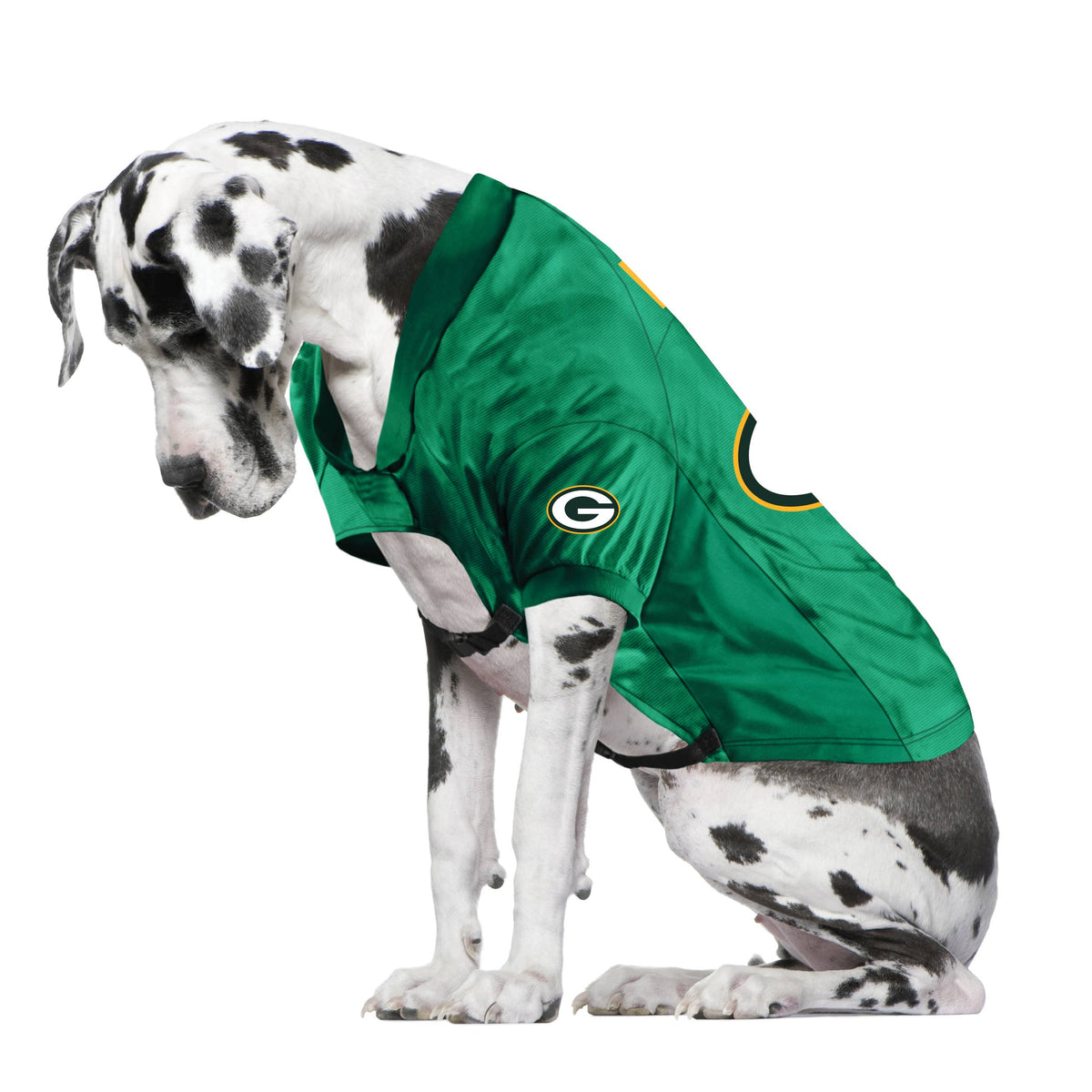 Packers Big Jersey