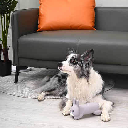 HugSmart Pet - Hoppin' Easter | Hoppy Bunny - Dog Plush Toy