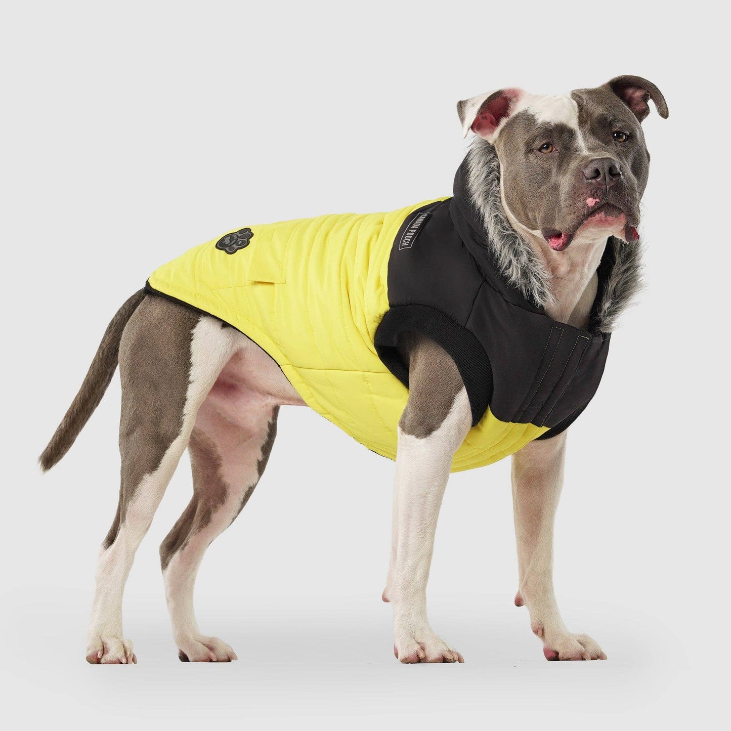 True North Dog Parka