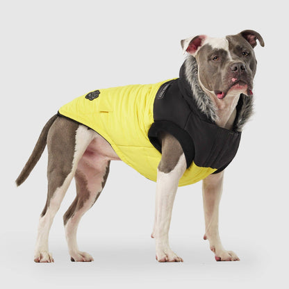 True North Dog Parka
