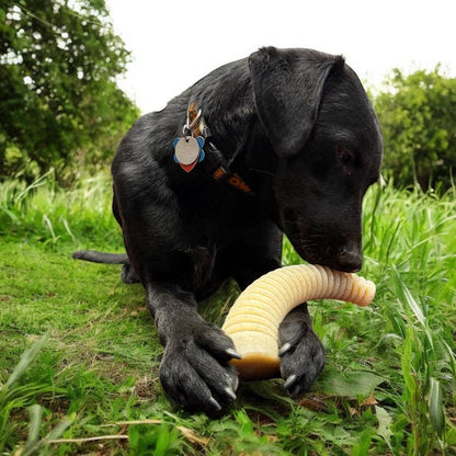 Flufflehorn eChew Ultra Durable Nylon Dog Chew - XL
