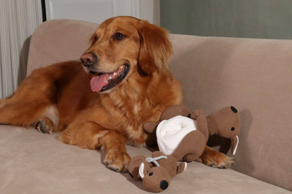 Joey Pouch Snuffle Toy