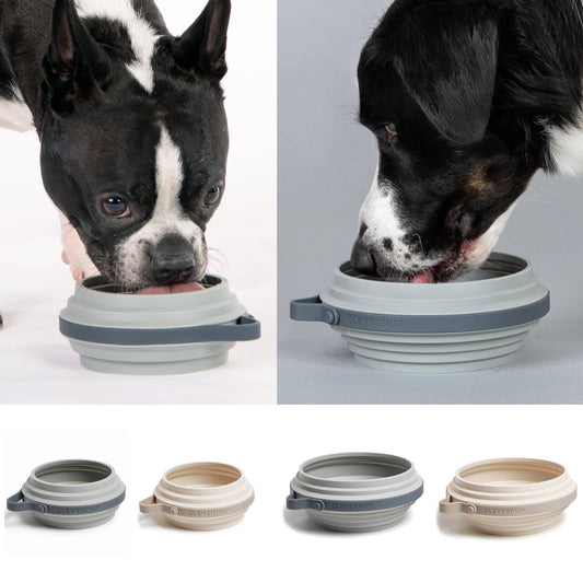 Nomad Collapsible Dog Bowl