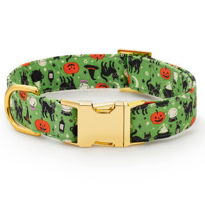 Spellbound Dog Collar