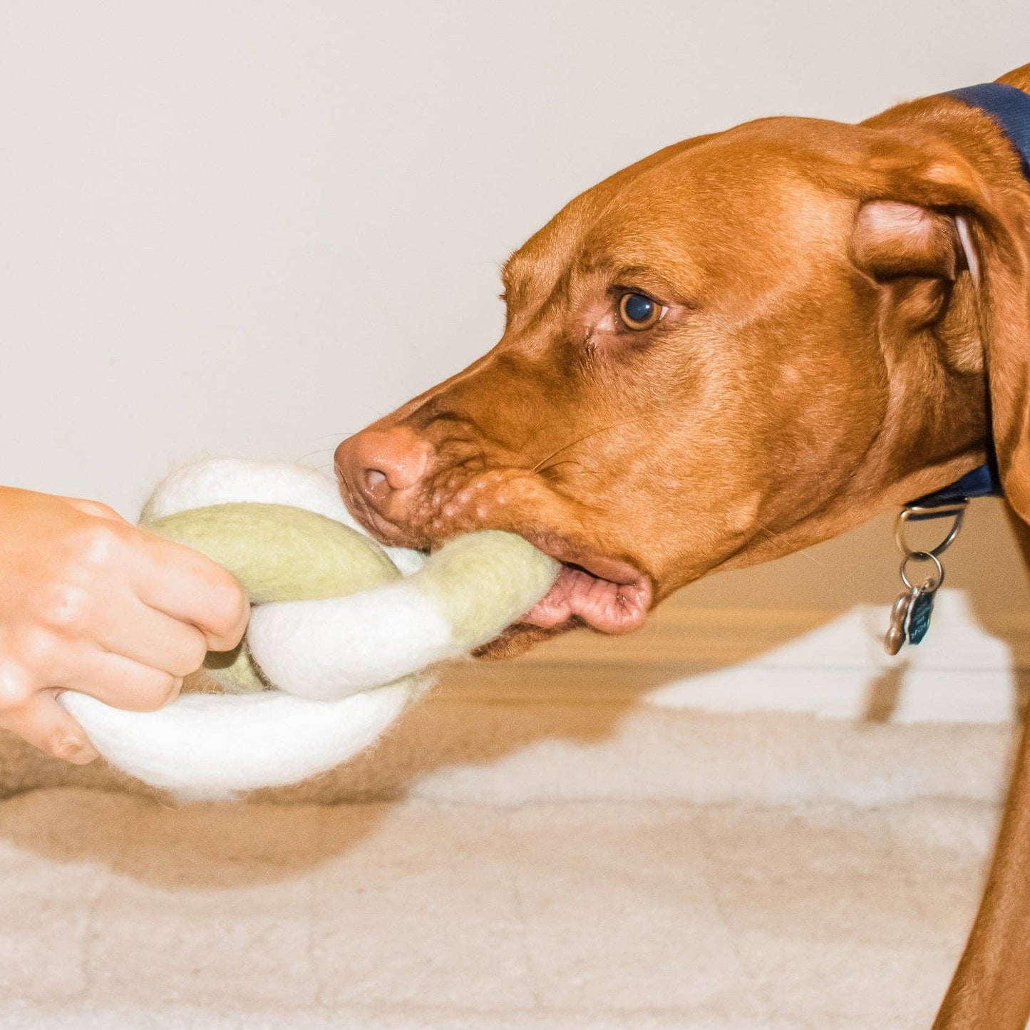 Awoo Link Felt Toy