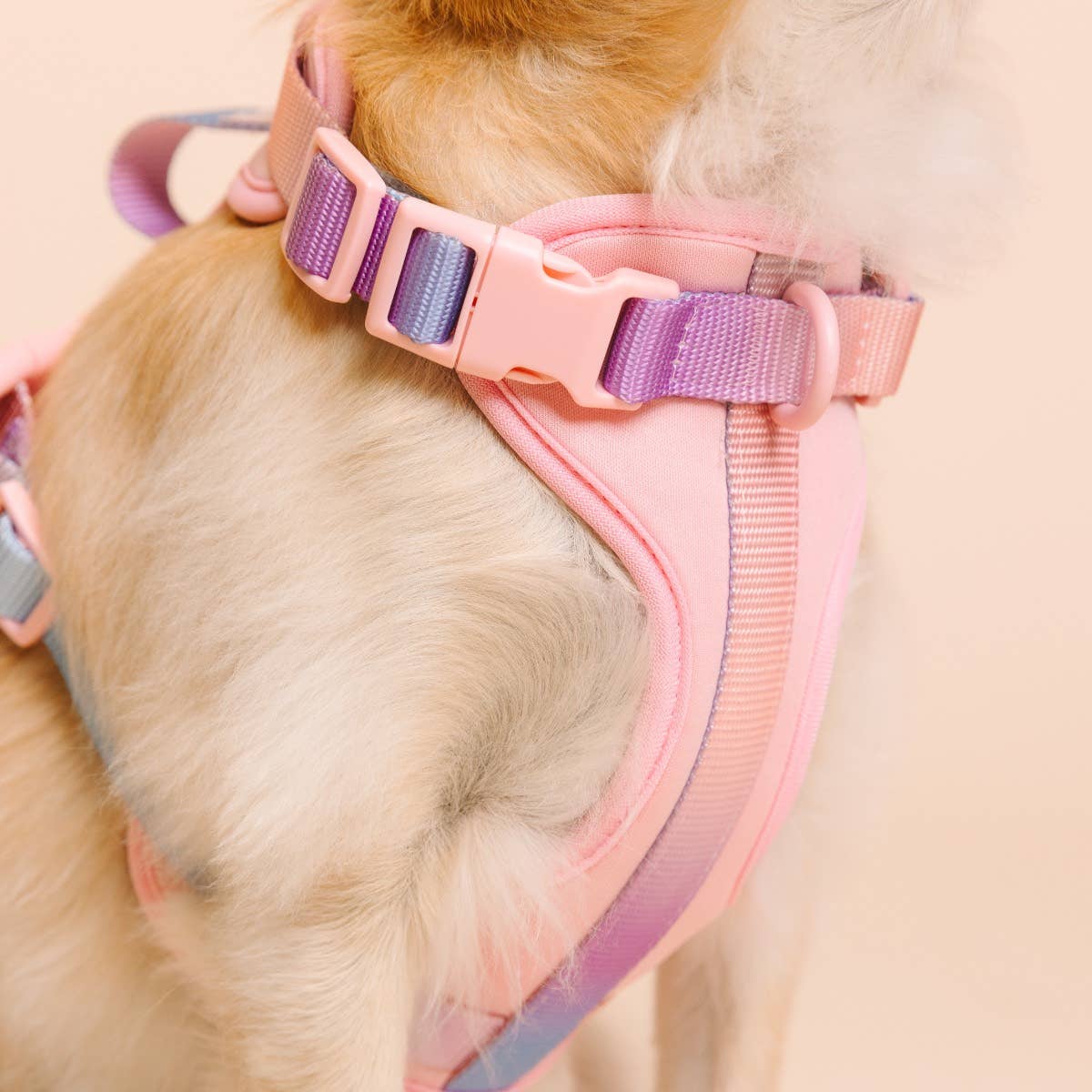 Diem Dog Harness | Pink