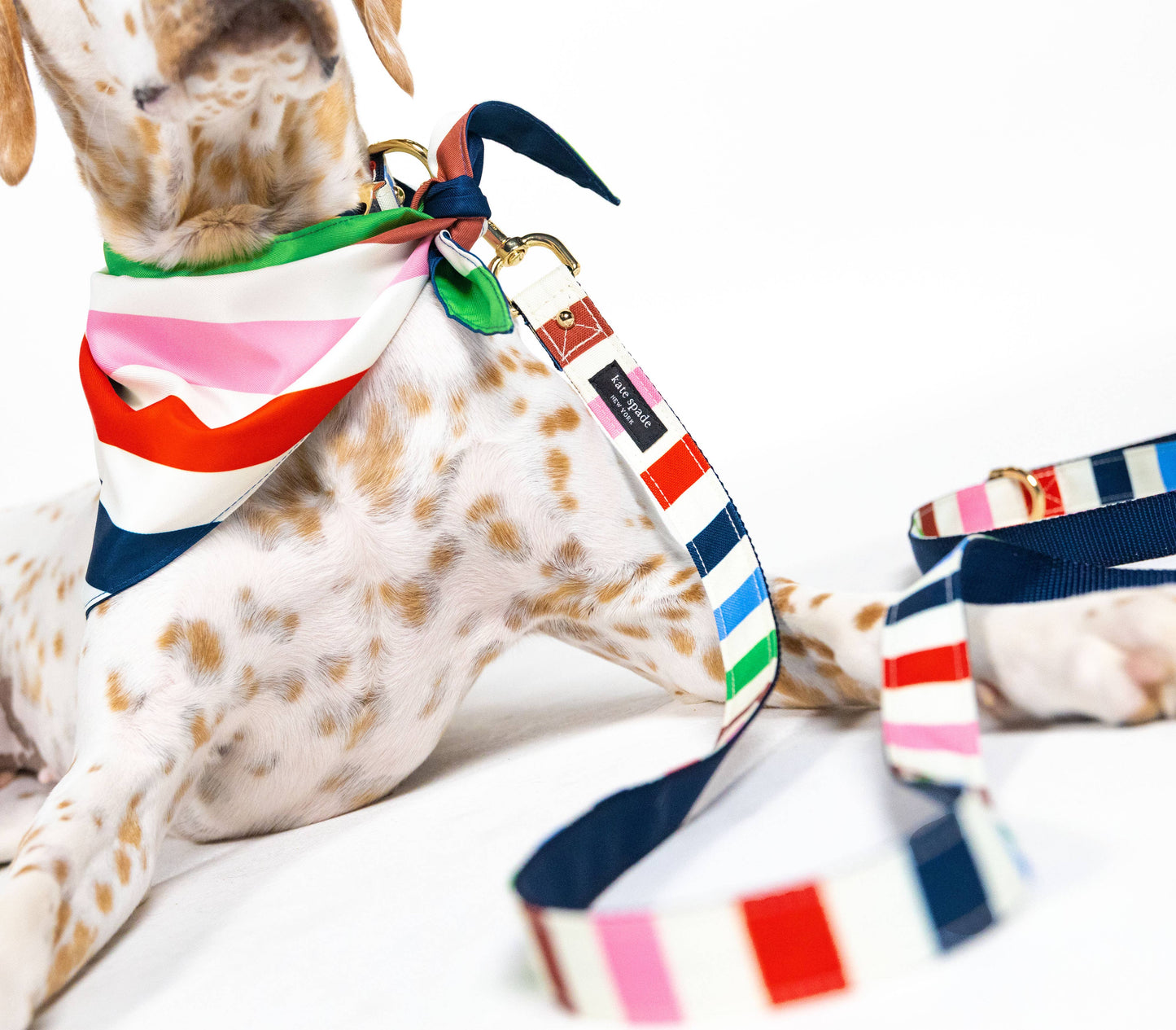 Kate Spade Large Dog Leash, Adventure Stripe