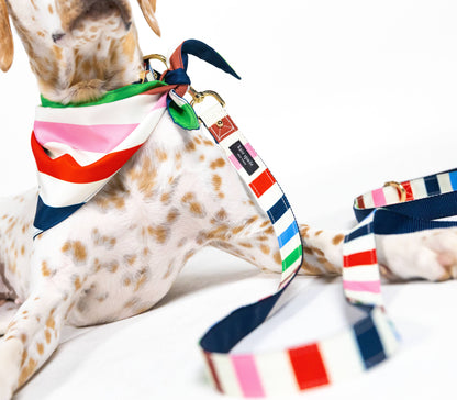 Kate Spade Large Dog Leash, Adventure Stripe