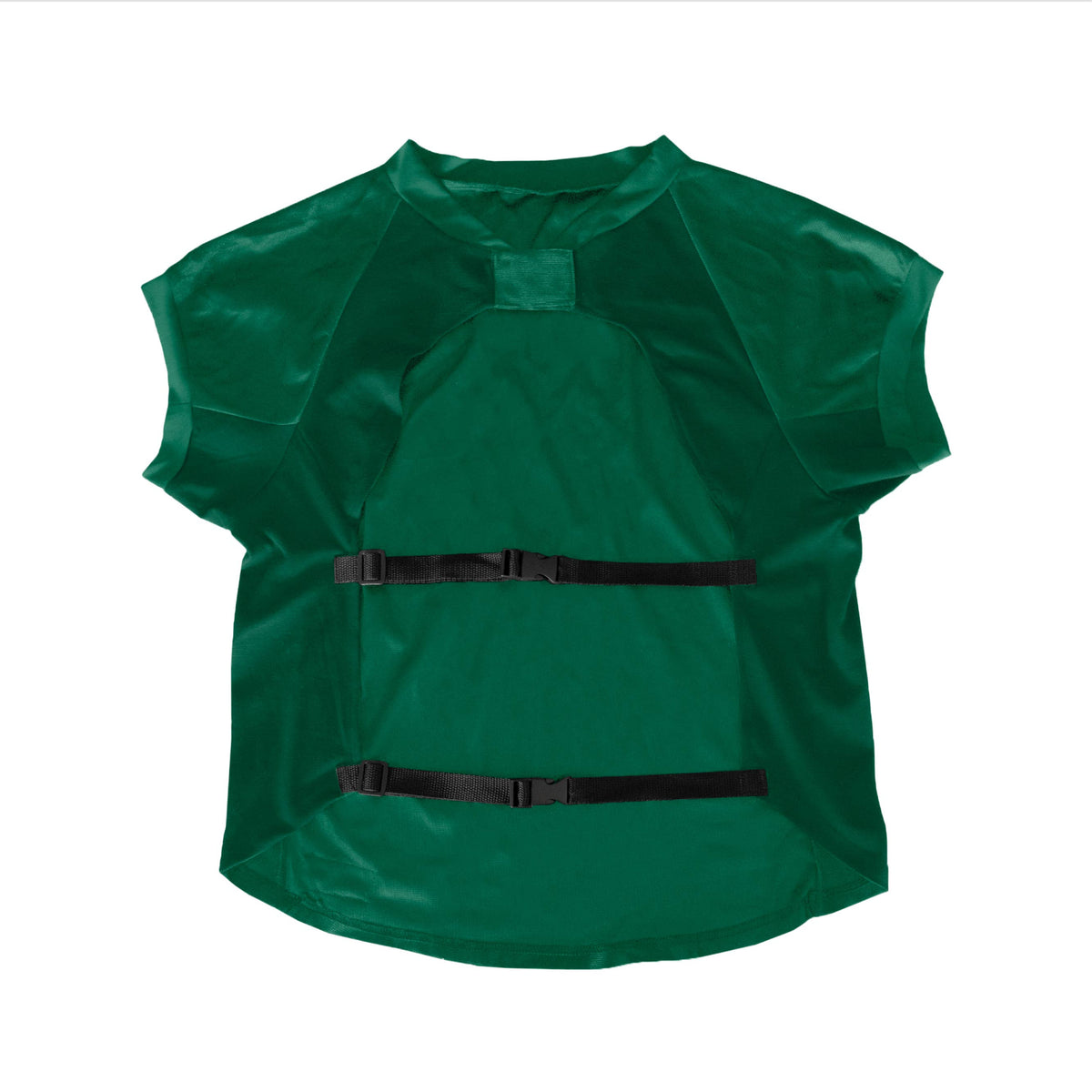 Packers Big Jersey