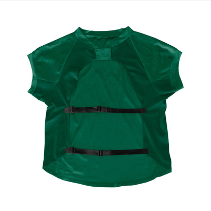 Packers Big Jersey