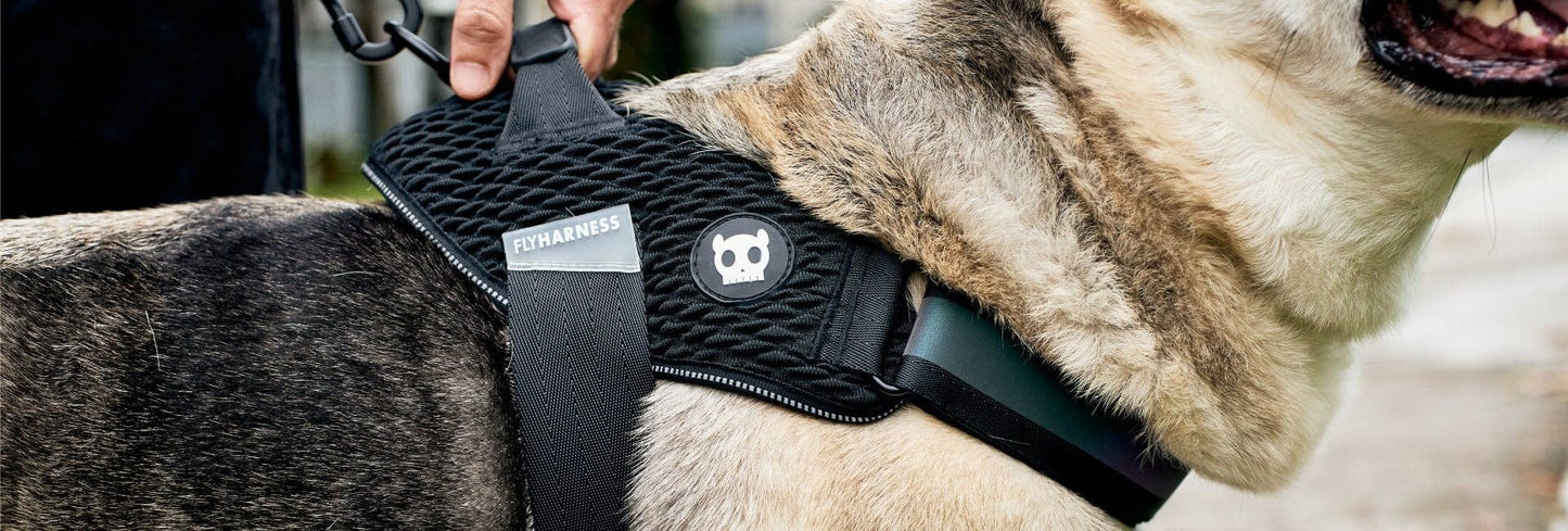 Gotham | FlyHarness