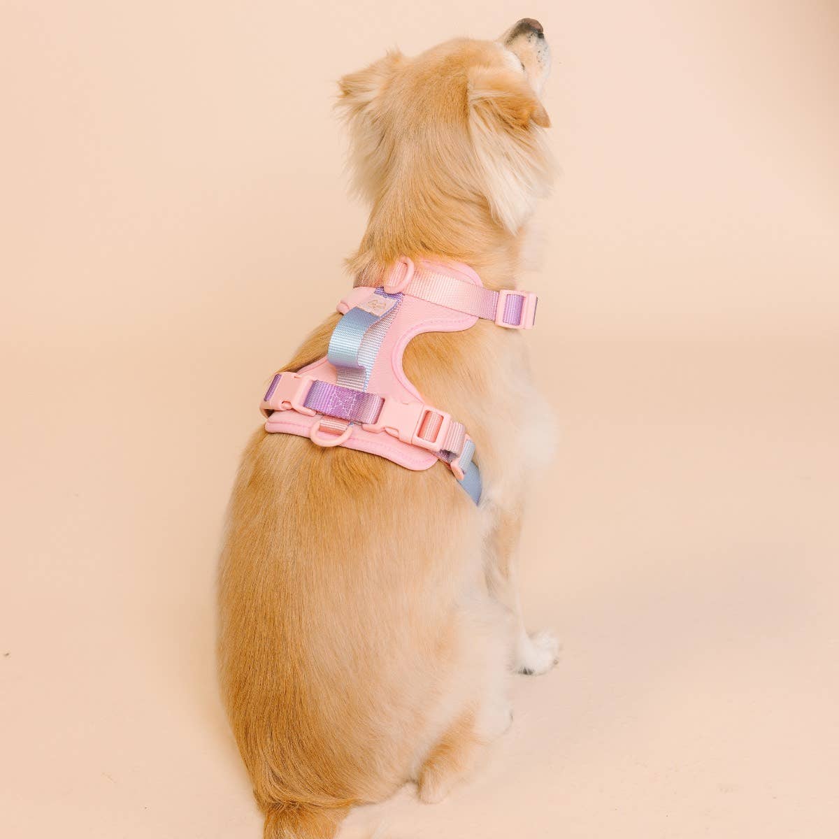 Diem Dog Harness | Pink