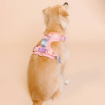 Diem Dog Harness | Pink