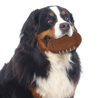 Packers Chewer Ball