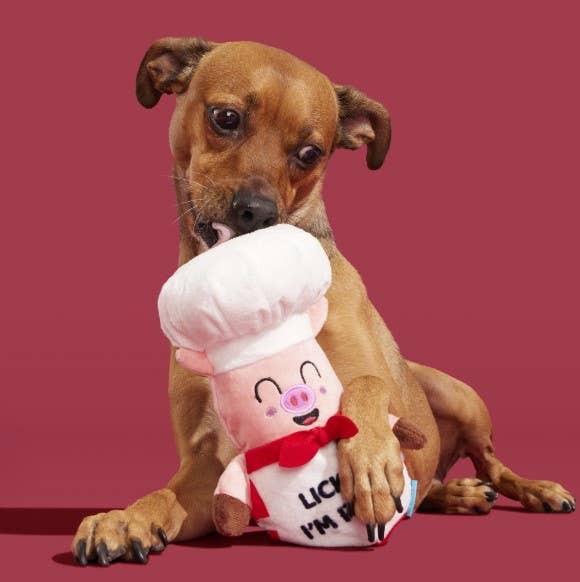 BARK Tony Pupperoni Dog Toy