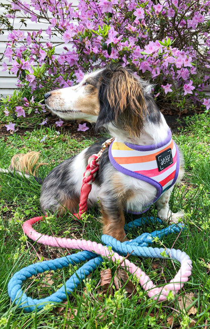 Dog Rope Leash - Jack & Jill