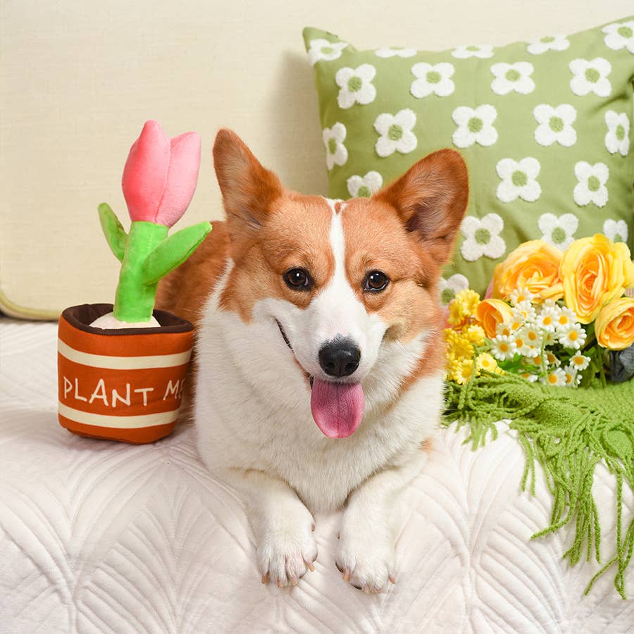 HugSmart Puppy Garden | Tulip Toy
