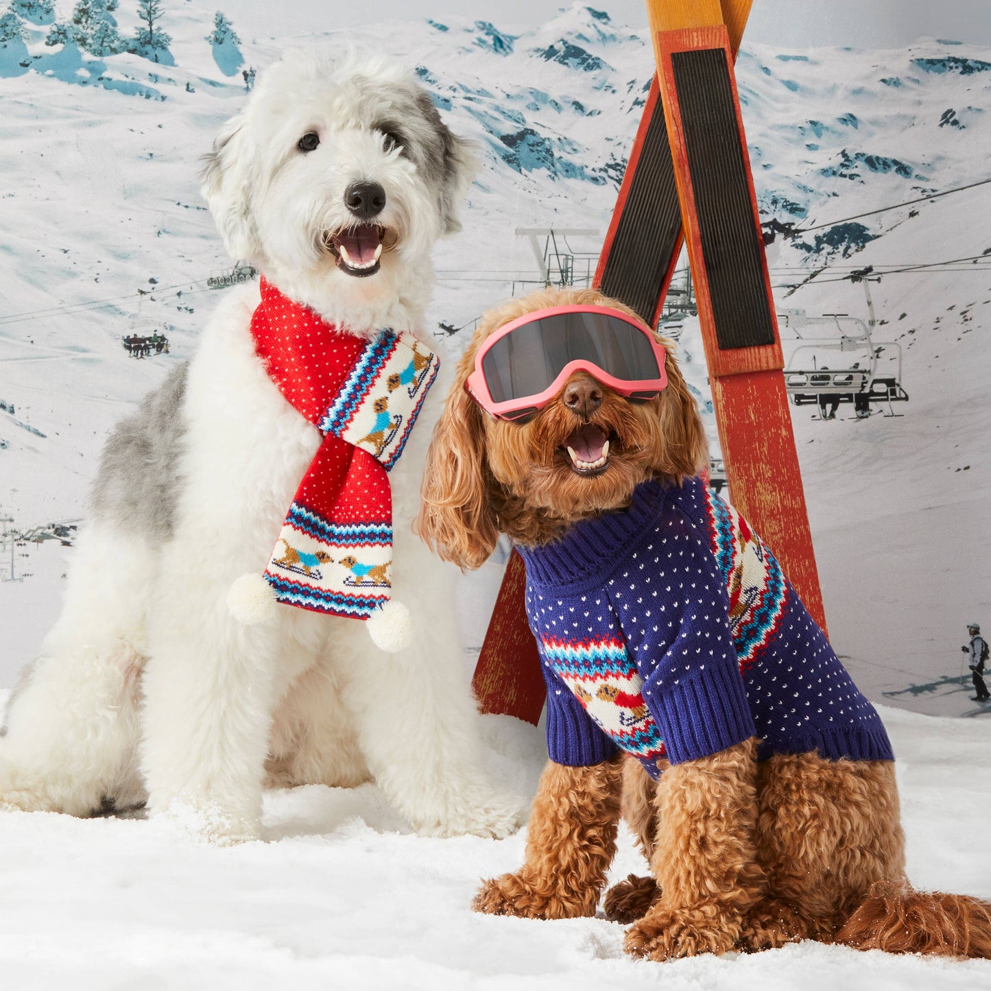 Foggy Dog Hit the Slopes Knit Scarf