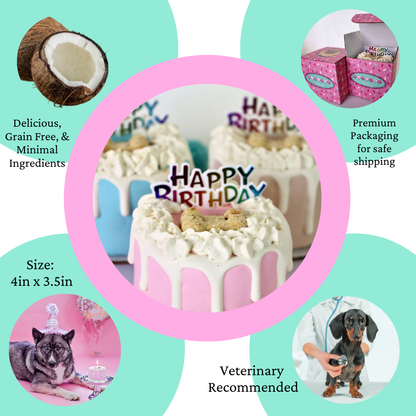 Dog Cake Bakery | Dog Birthday Cake Pink