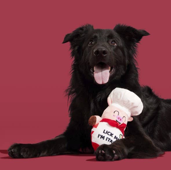 BARK Tony Pupperoni Dog Toy
