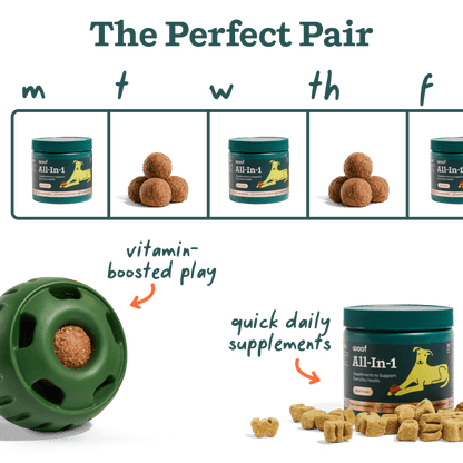 All-in-1 Chews
