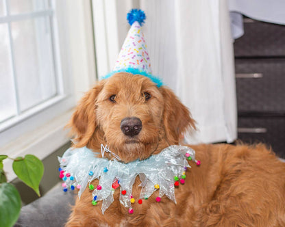 Multipet Party Hat Blue Small