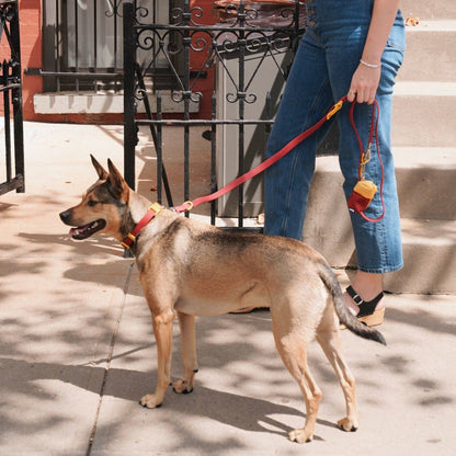 The Fritz Dog Leash | Leash wit Handle | Multi Dog Leash
