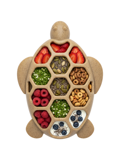 Turtle Durable Nylon Chew and Enrichment Toy