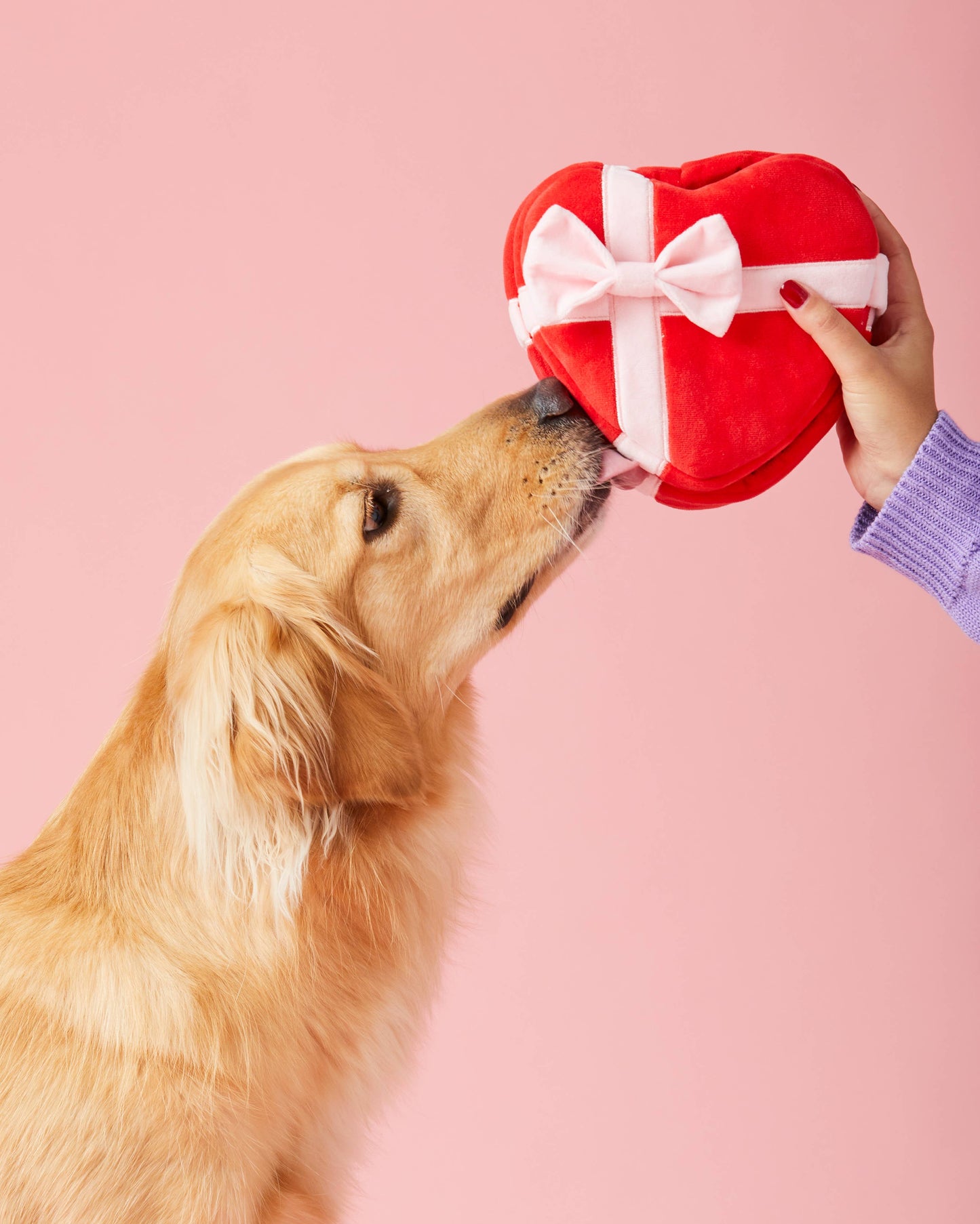 Be My Valentine Snuffle Toy