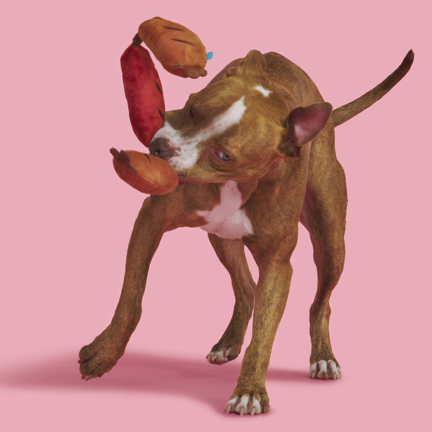 BARK Lickin' Links Plush