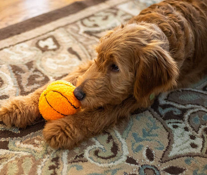ThoozyPet Basketball Toy 4"