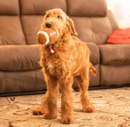Thoozy Football Plush 6.5in
