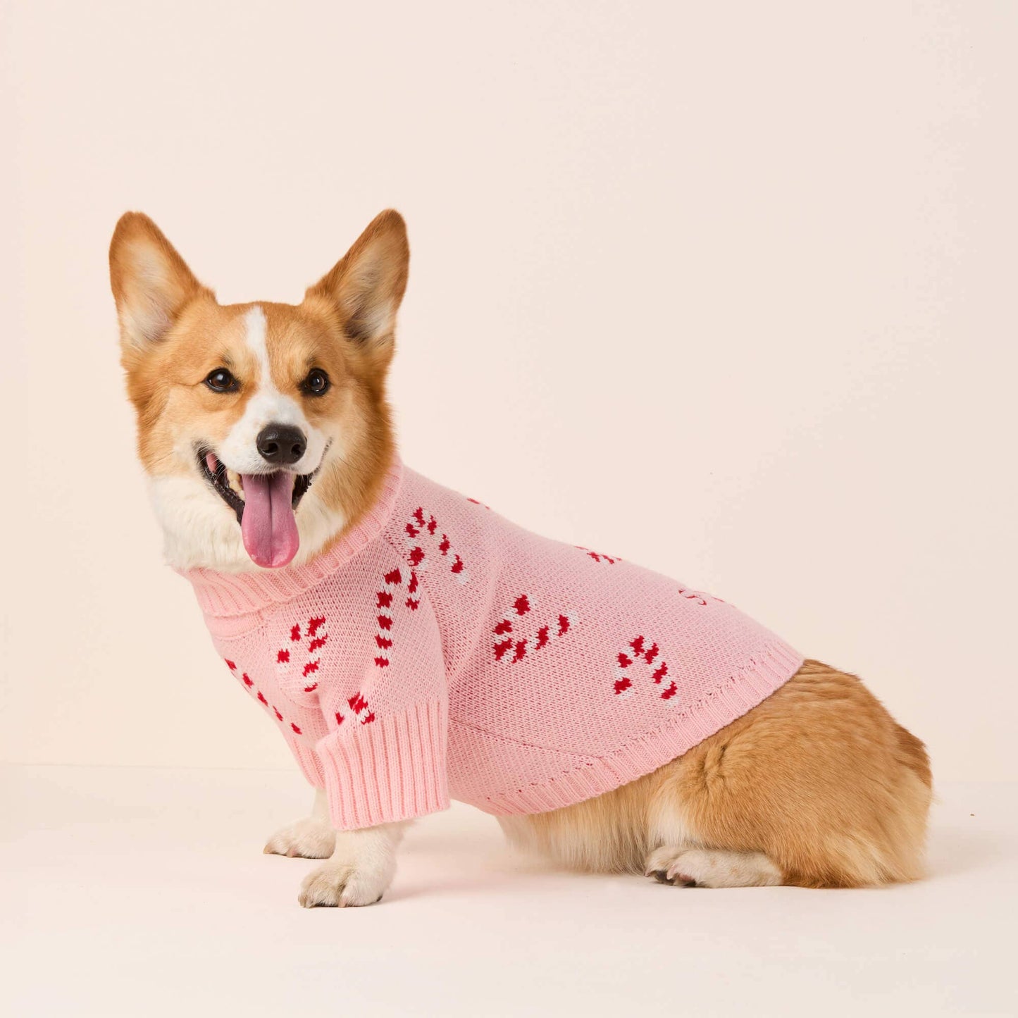 Pink Candy Canes Dog Sweater