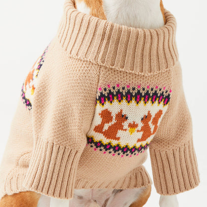 Foggy Dog Squirrel Sweater