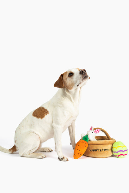 Hide a Toy Easter Basket Dog Toy