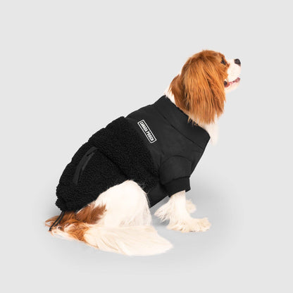 Cool Factor Puffer Jacket- Dog coat