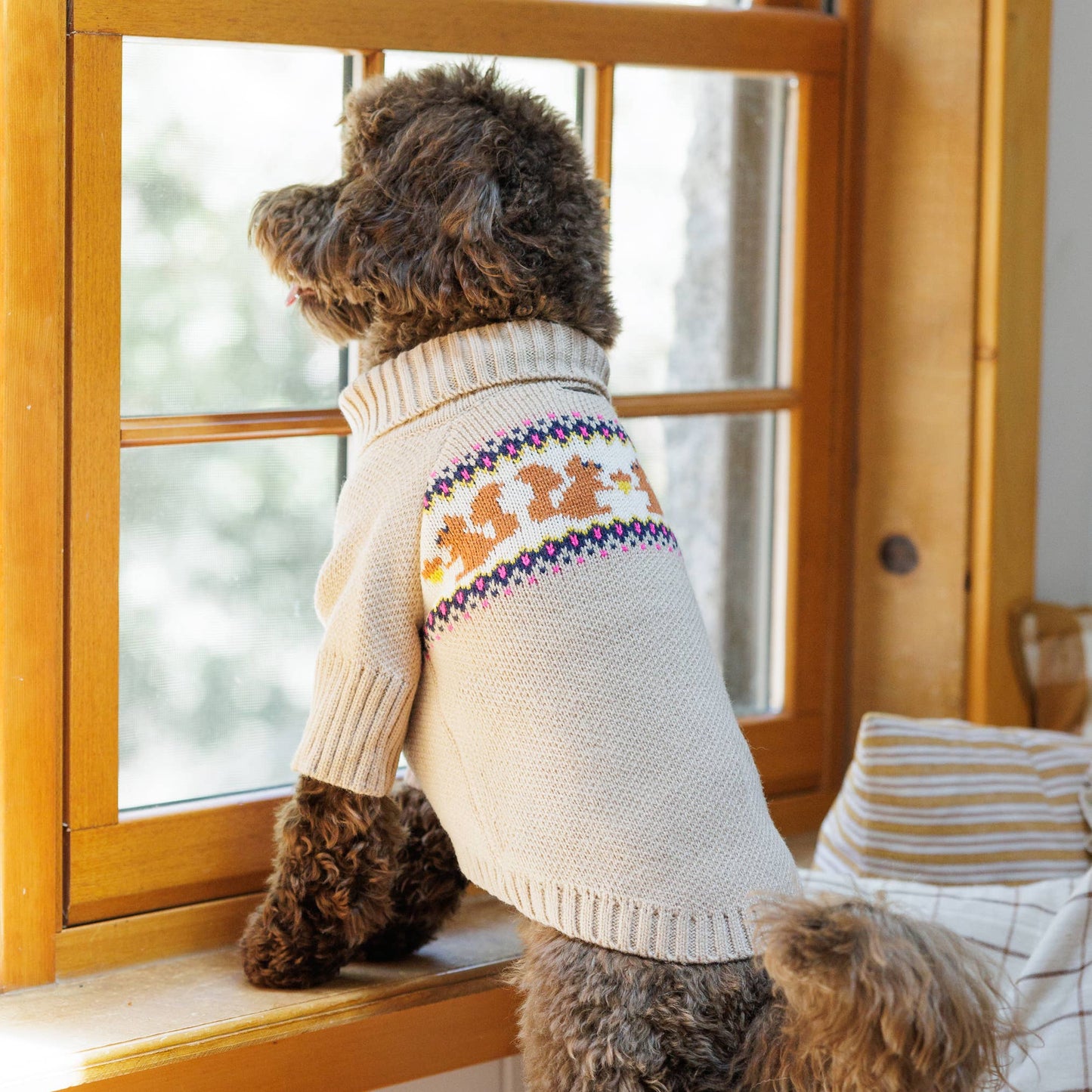 Foggy Dog Squirrel Sweater
