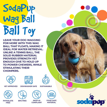 Wag Ball Durable Rubber Chew & Retrieving Toy
